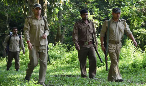 sarkari naukri van vibhag