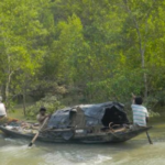 Sundarban trip