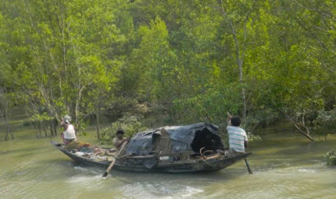 Sundarban trip