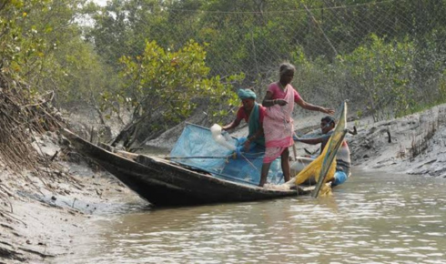 Sundarban tour