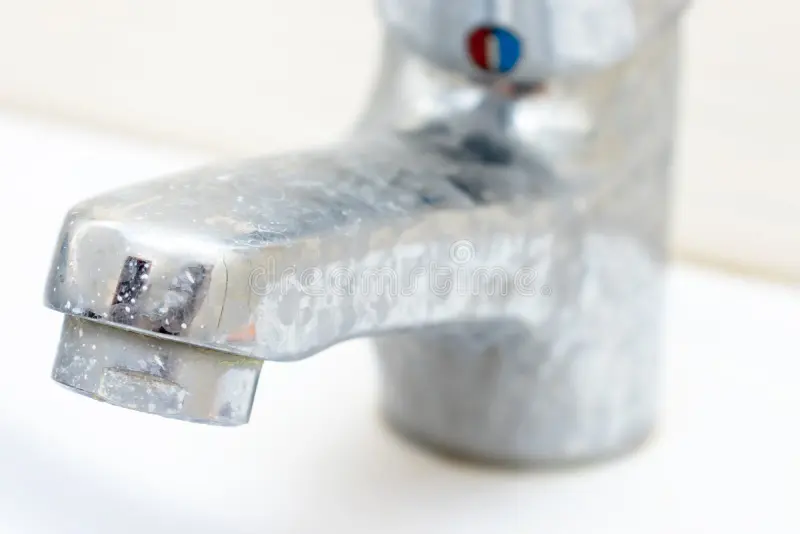 white scale buildup